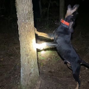 Meet your Posher, Nickolas